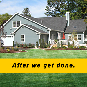 Click here to get a 100% free estimate. Click here to get a 100% free estimate.