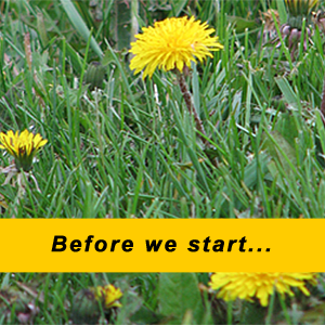 Click here to get a 100% free estimate. Click here to get a 100% free estimate.