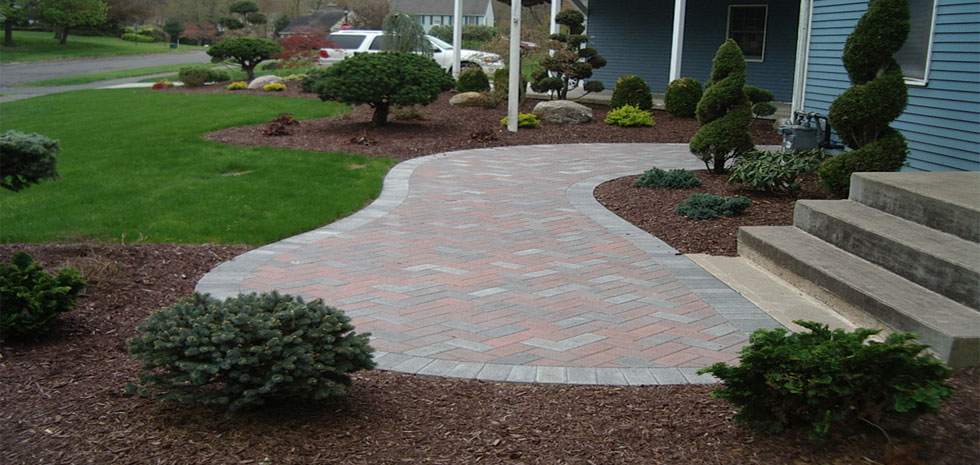 Shrub Care Shrub care